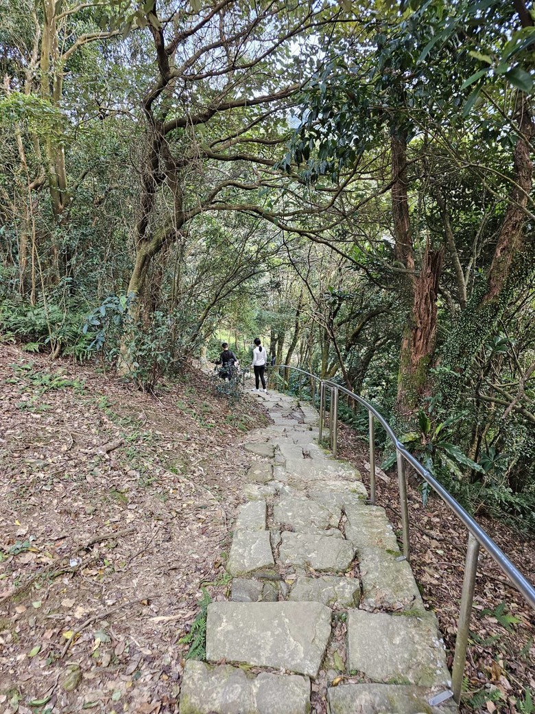 【小惡魔金龍踏春】大尖山登山步道初三踏春