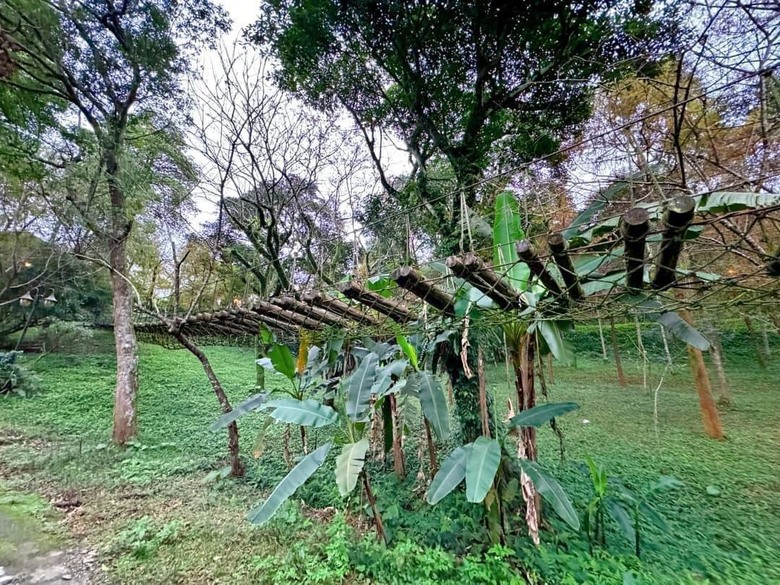 【小惡魔金龍踏春】之香格里拉踏青/住宿/農場