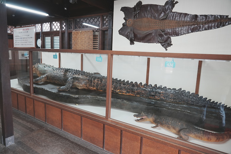 2024日本北九州家庭旅遊-Day3~5 in 別府、阿蘇 & 熊本