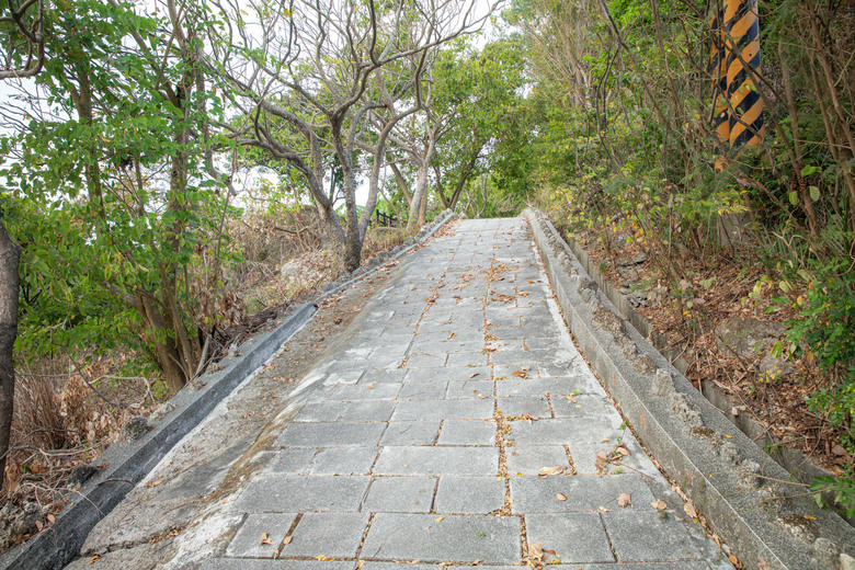 【小惡魔金龍踏春】高雄小崗山健行步道、崗山之眼天空廊道