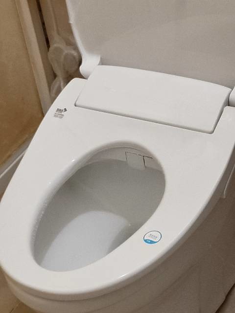 【小惡魔金龍踏春】浴廁最值得購入的家電商品|瞬熱型免治馬桶座
