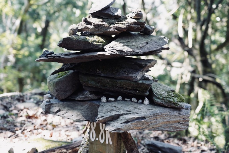 【世紀奇峰】▲▲ 阿霸,我回來了!!大霸尖山