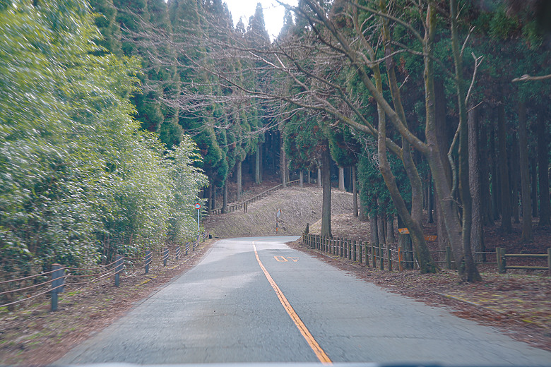 2024日本北九州家庭旅遊-Day3~5 in 別府、阿蘇 & 熊本