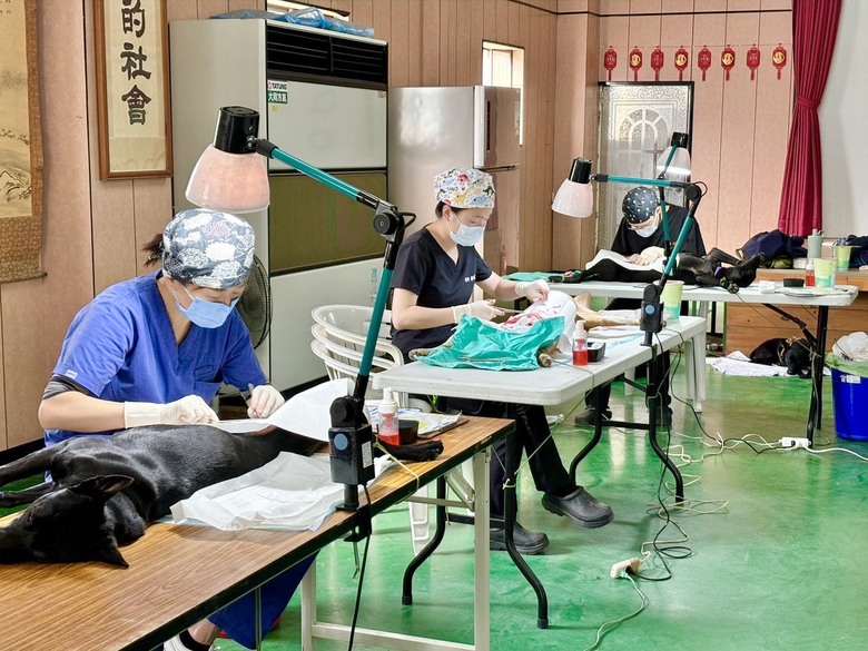 中市偏區家犬貓免費絕育首場梧棲登場,動保處:歡迎飼主報名參加