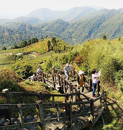【小惡魔金龍踏春】嘉義阿里山 | 二延平步道健走