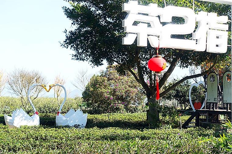 【小惡魔金龍踏春】南投名間 | 茶二指故事館：打卡直接送珍奶