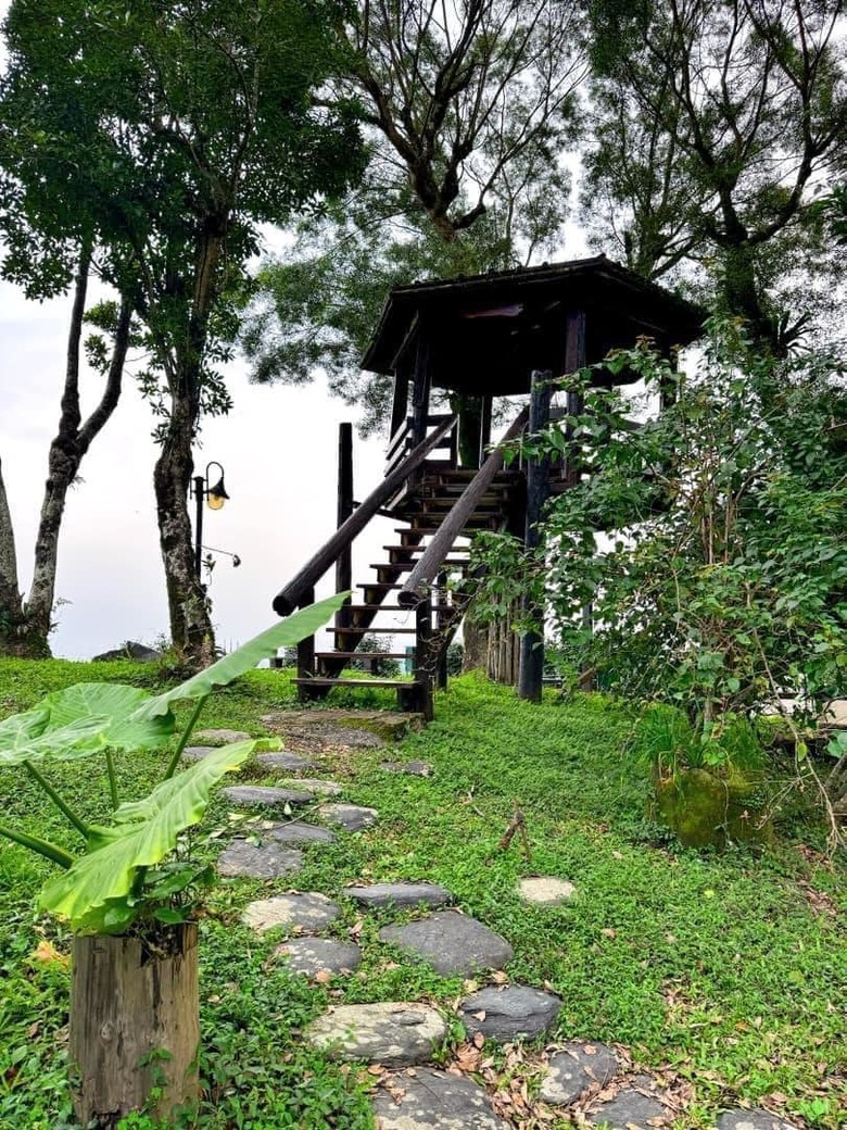 【小惡魔金龍踏春】之香格里拉踏青/住宿/農場