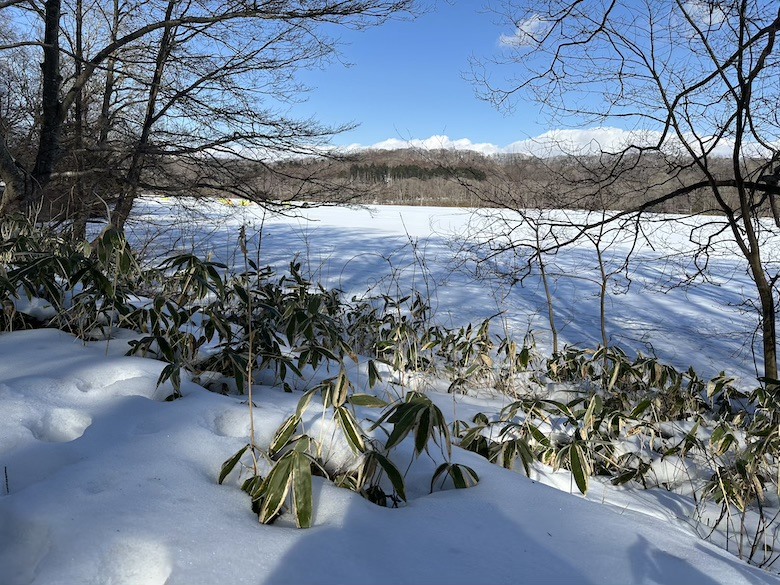 星野集團界ポロト | 冬季北海道悠閒泡湯大滿足之旅