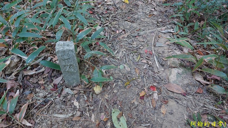 【小惡魔金龍踏春】雙心縱走 12座山峰+環湖走出心連心