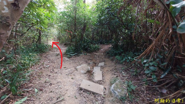 【小惡魔金龍踏春】雙心縱走 12座山峰+環湖走出心連心