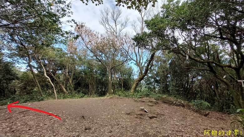 【小惡魔金龍踏春】雙心縱走 12座山峰+環湖走出心連心