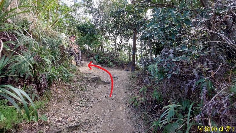 【小惡魔金龍踏春】雙心縱走 12座山峰+環湖走出心連心