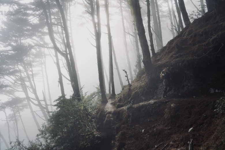 【南二段的始源】▲▲ 嘉明湖國家步道 - 向陽山、三叉山