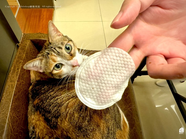 豆腐貓砂使用心得分享＿宏瑋寵物 KOGIPET ／20年醫材專業打造安心寵物品牌