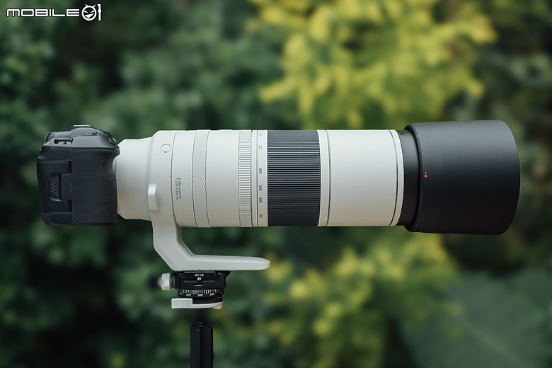 Canon RF 200-800mm f/6.3-9 IS USM 評測報告｜豈止物有所值、平民大砲超有料！