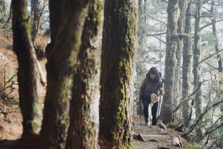 【南二段的始源】▲▲ 嘉明湖國家步道 - 向陽山、三叉山