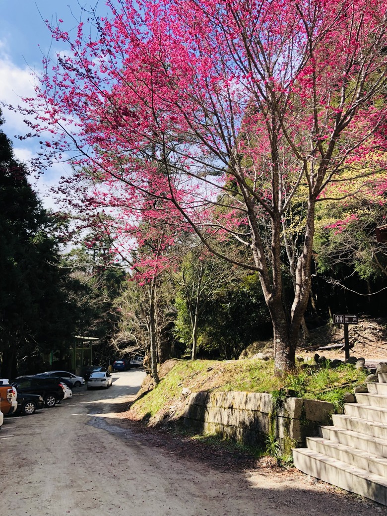 【世紀奇峰】▲▲ 阿霸,我回來了!!大霸尖山