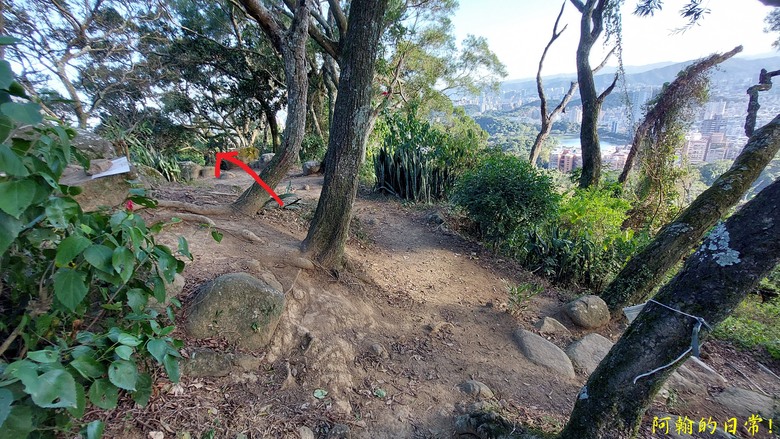 【小惡魔金龍踏春】雙心縱走 12座山峰+環湖走出心連心