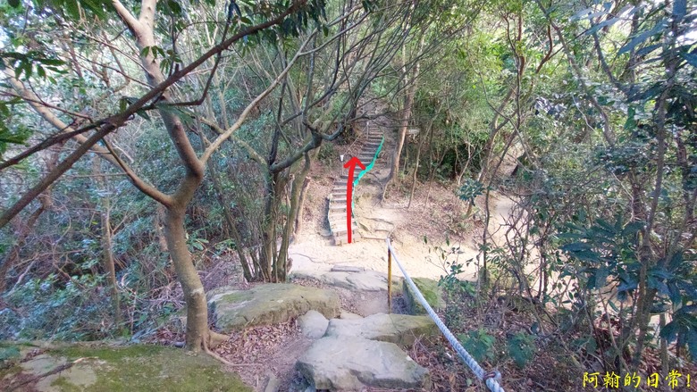 【小惡魔金龍踏春】雙心縱走 12座山峰+環湖走出心連心