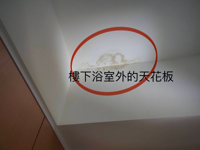 樓下天花板有水痕 懷疑是我家漏水⋯⋯