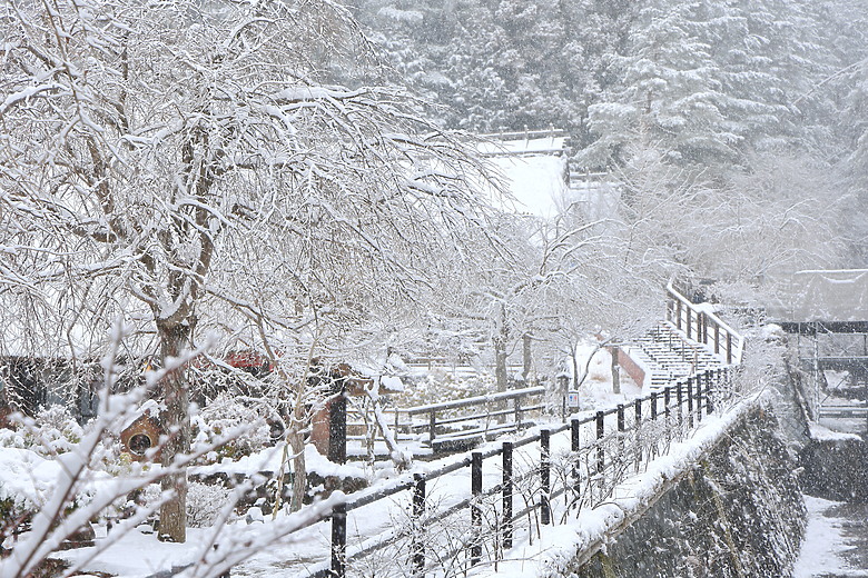 (映像旅行) 遨遊富士五湖，感受淺間大神魂動魅力in日本富士山 feat. Mazda CX-30