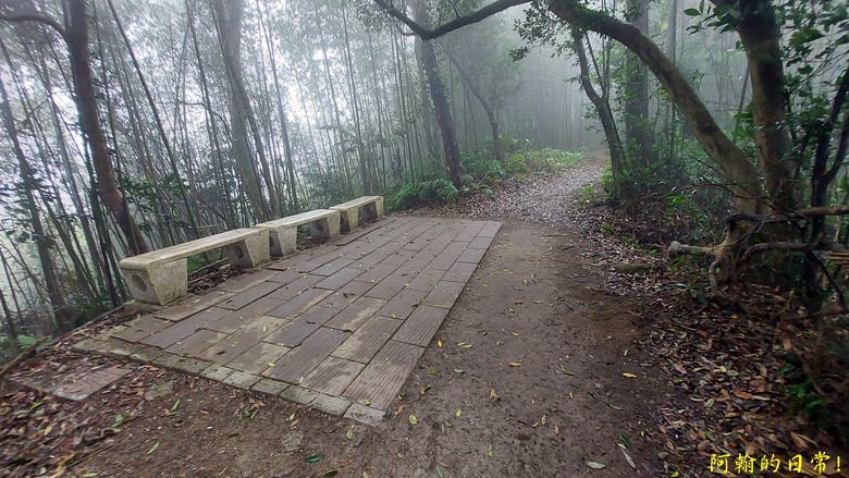 [苗栗 三義 大湖] 出關古道聖關段 關刀山 一日雙小百岳