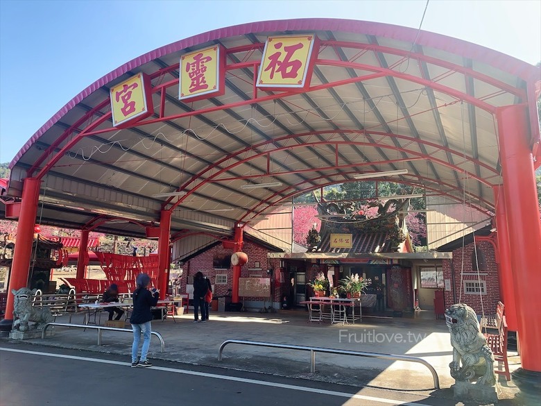 點我看大圖 免費賞櫻小秘境