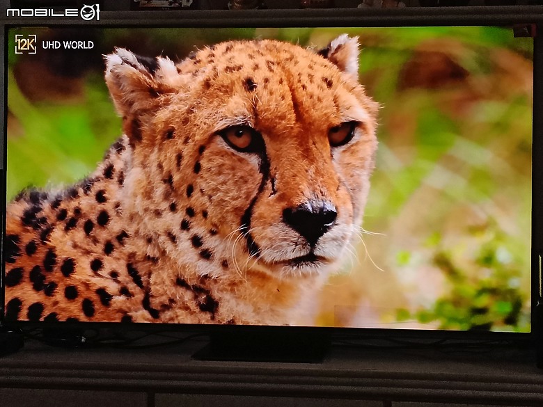 TCL C845 Mini LED Google TV 55'' 開箱文