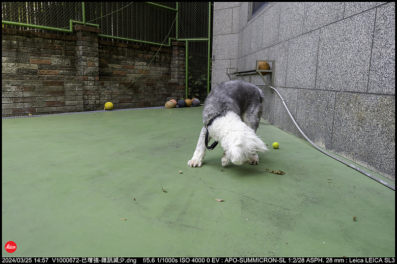 【開箱】Leica SL3 10607，新增 【SL3 韌體更新 V1.1.9 修正檔案意外覆寫錯誤】