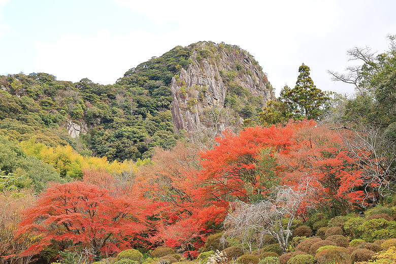 (映像旅行) 與可愛虎將一起大啖和牛賞楓紅in日本佐賀 feat.台灣虎航