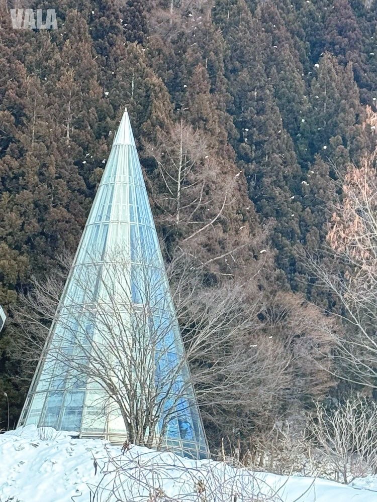地獄谷野苑公苑。看雪猴泡湯泡溫泉真的好療癒。最淺顯易懂交通攻略