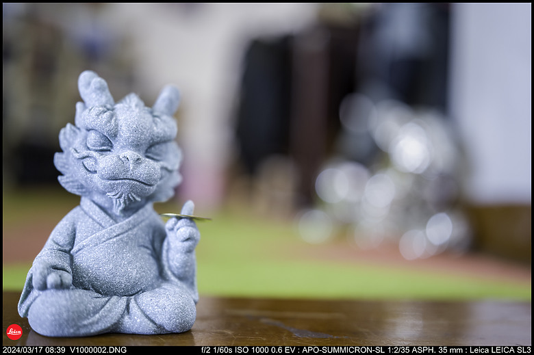 【開箱】Leica SL3 10607，新增 【SL3 韌體更新 V1.1.9 修正檔案意外覆寫錯誤】