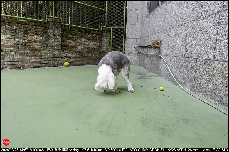 【開箱】Leica SL3 10607，新增 【SL3 韌體更新 V1.1.9 修正檔案意外覆寫錯誤】