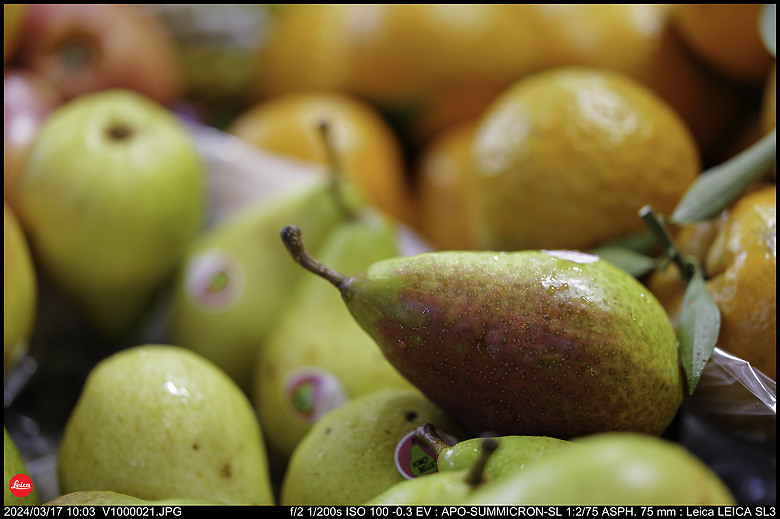 【開箱】Leica SL3 10607，新增 【SL3 韌體更新 V1.1.9 修正檔案意外覆寫錯誤】