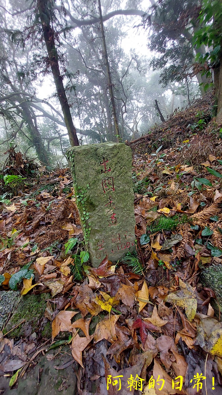 [苗栗 三義 大湖] 出關古道聖關段 關刀山 一日雙小百岳