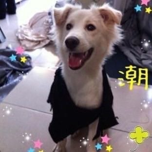 #紀錄 年過三十才刺青的年輕女子