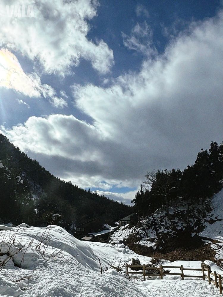 地獄谷野苑公苑。看雪猴泡湯泡溫泉真的好療癒。最淺顯易懂交通攻略