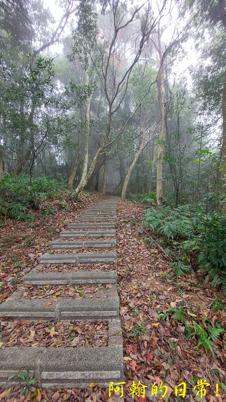 [苗栗 三義 大湖] 出關古道聖關段 關刀山 一日雙小百岳