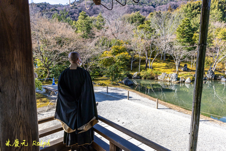 我的 R8+RF 24-50mm