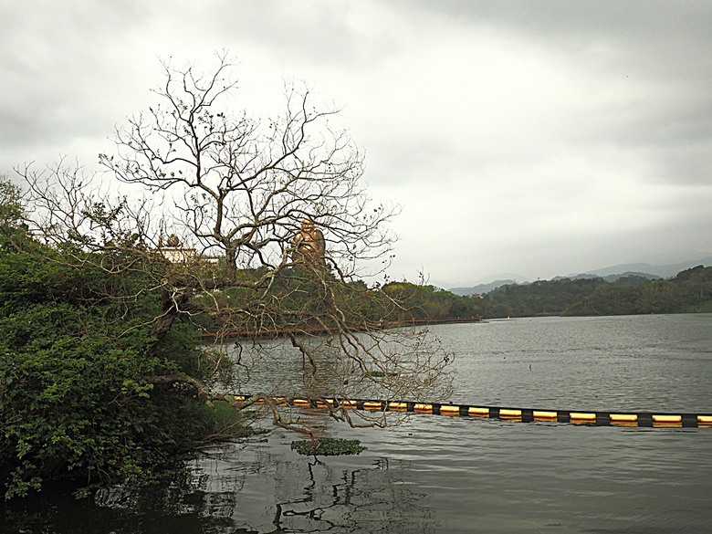 峨眉湖步道、細茅埔吊橋、富興老街、大自然文化世界、世界幸福咖啡總店-快樂咖啡坊，外掛關西一銀麵 — 浪漫臺三線之新竹峨眉湖半日行旅