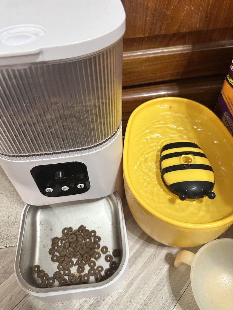 愛吃的主子必備的自動餵食器