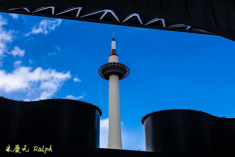 我的 R8+RF 24-50mm