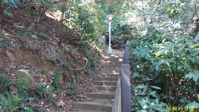 崎頭步道、義學坑步道 輕鬆O型走