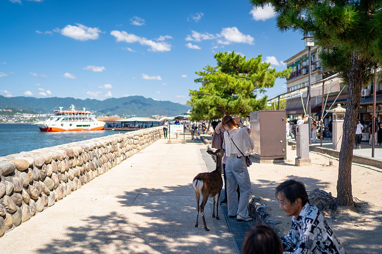 【廣島】一個人的旅遊，找回攝影的樂趣 (上)