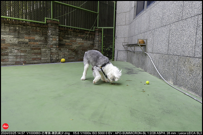 【開箱】Leica SL3 10607，新增 【SL3 韌體更新 V1.1.9 修正檔案意外覆寫錯誤】