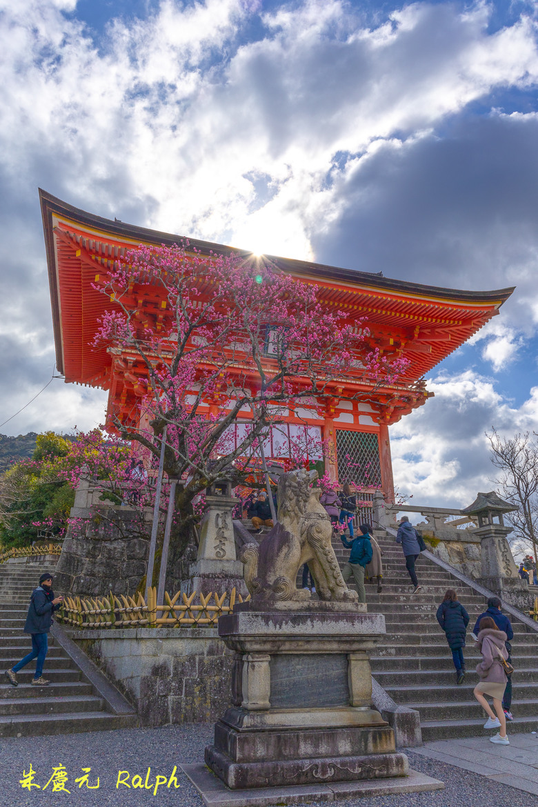 我的 R8+RF 24-50mm