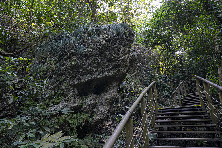 點我看大圖 假日半日遊-高雄柴山O型縱走