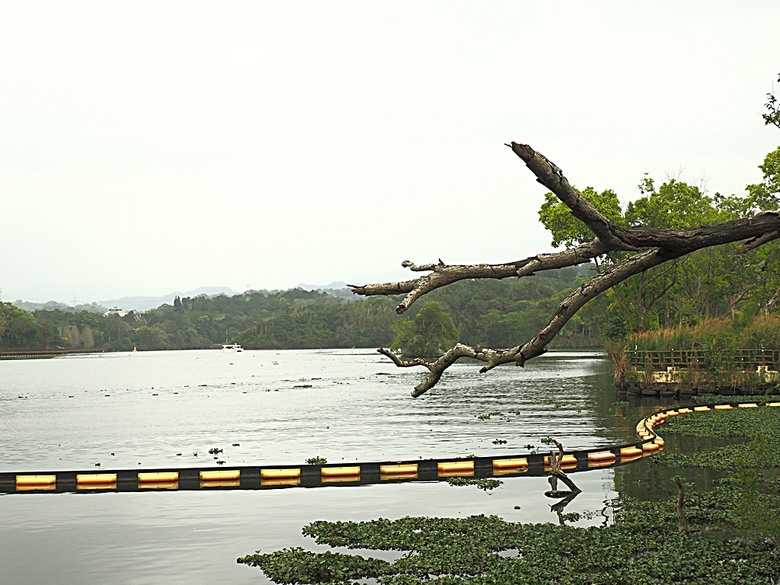 峨眉湖步道、細茅埔吊橋、富興老街、大自然文化世界、世界幸福咖啡總店-快樂咖啡坊，外掛關西一銀麵 — 浪漫臺三線之新竹峨眉湖半日行旅