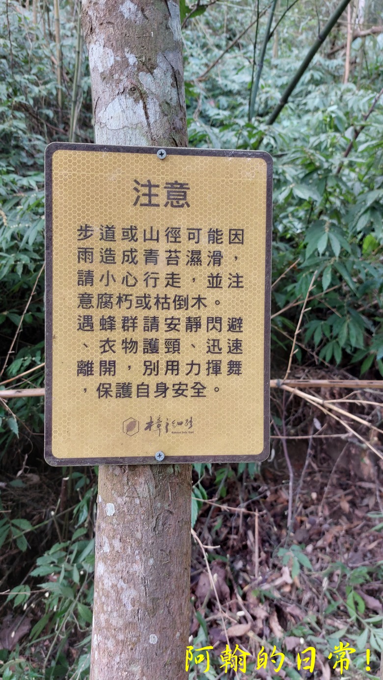 [苗栗 三義 大湖] 出關古道聖關段 關刀山 一日雙小百岳