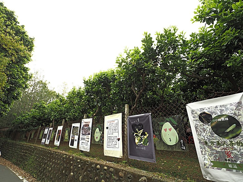 峨眉湖步道、細茅埔吊橋、富興老街、大自然文化世界、世界幸福咖啡總店-快樂咖啡坊,外掛關西一銀麵 — 浪漫臺三線之新竹峨眉湖半日行旅